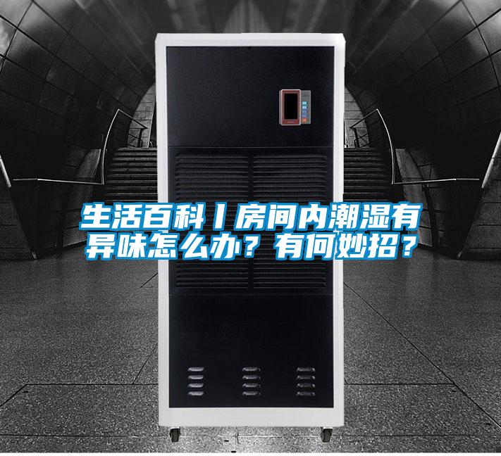 生活百科丨房間內潮濕有異味怎么辦？有何妙招？