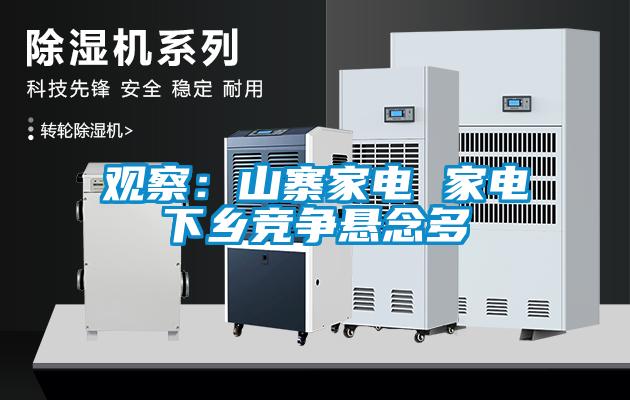 觀察：山寨家電 家電下鄉(xiāng)競(jìng)爭懸念多