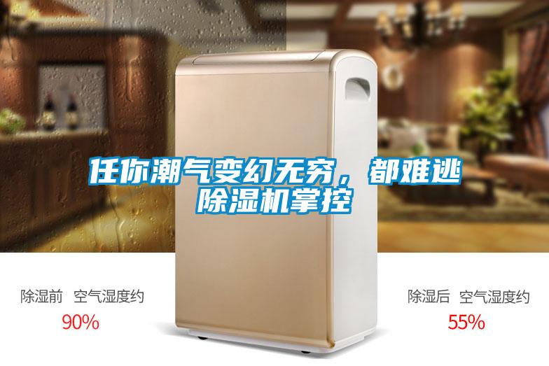 任你潮氣變幻無窮，都難逃除濕機掌控