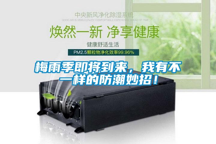梅雨季即將到來，我有不一樣的防潮妙招！