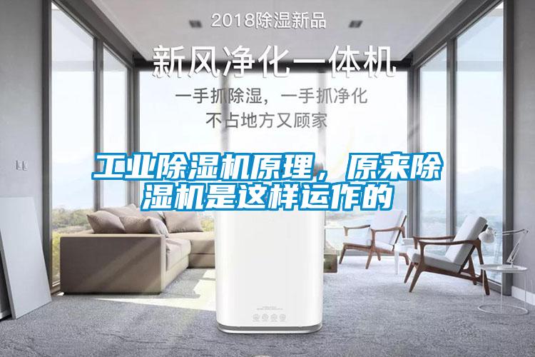 工業除濕機原理，原來除濕機是這樣運作的