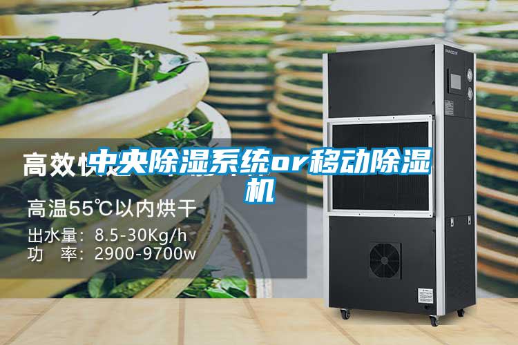 中央除濕系統(tǒng)or移動除濕機(jī)