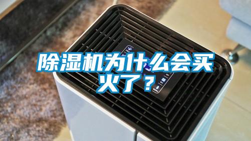 除濕機為什么會買火了？
