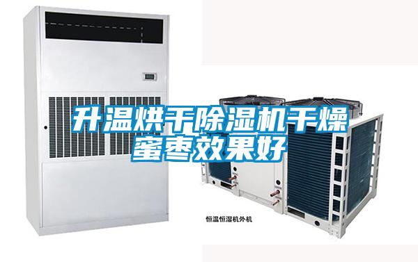 升溫烘干除濕機(jī)干燥蜜棗效果好