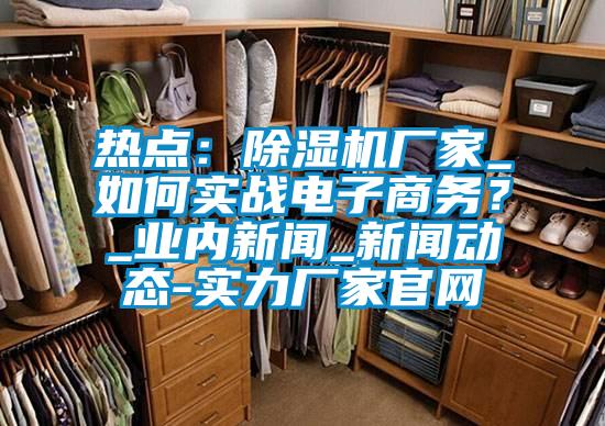 熱點(diǎn)：除濕機(jī)廠家_如何實(shí)戰(zhàn)電子商務(wù)？_業(yè)內(nèi)新聞_新聞動(dòng)態(tài)-實(shí)力廠家官網(wǎng)