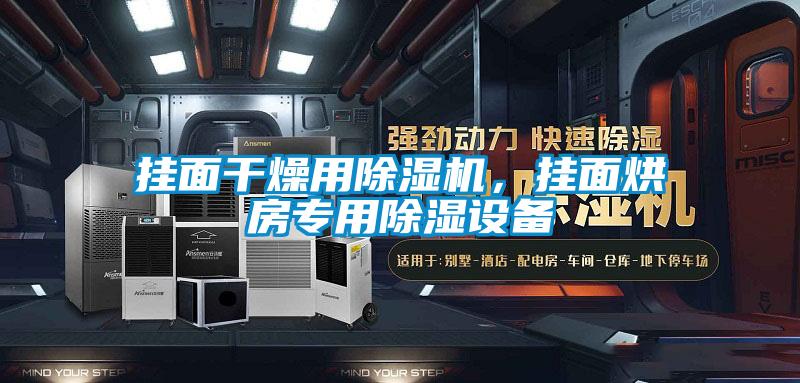 掛面干燥用除濕機，掛面烘房專用除濕設備