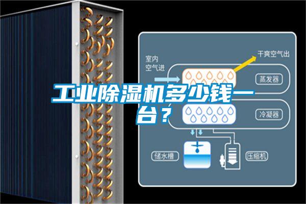 工業(yè)除濕機(jī)多少錢(qián)一臺(tái)？