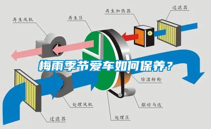 梅雨季節愛車如何保養？