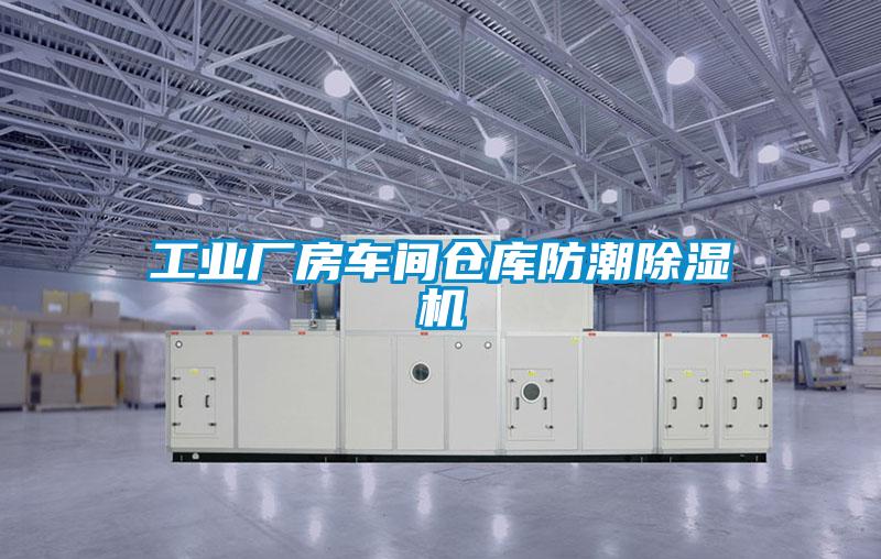 工業(yè)廠房車(chē)間倉(cāng)庫(kù)防潮除濕機(jī)