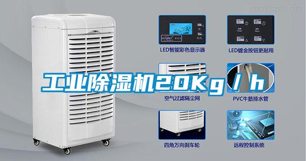 工業(yè)除濕機(jī)20Kg／h