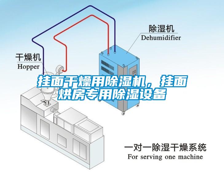 掛面干燥用除濕機，掛面烘房專用除濕設備
