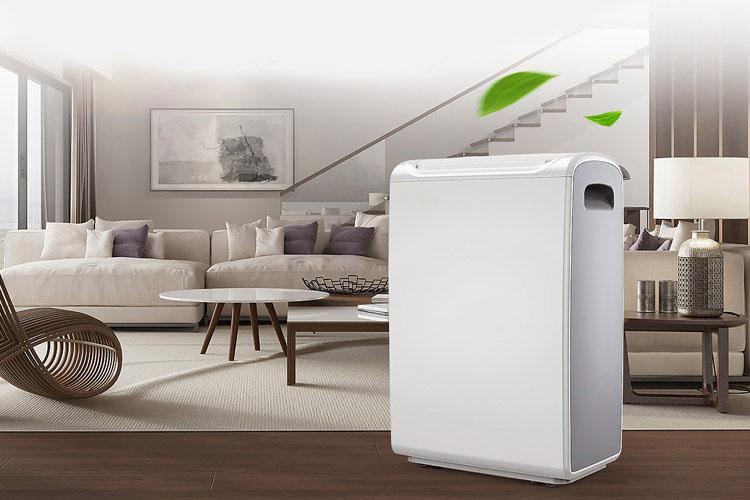 問世間“晴”為何物,回南天讓人氣哭!