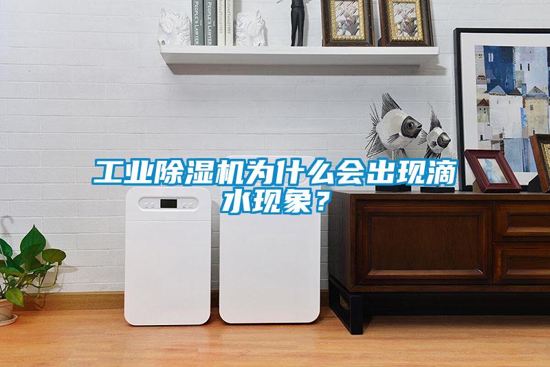工業除濕機為什么會出現滴水現象？