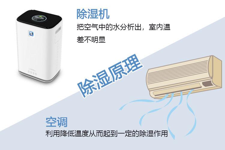 一樓防潮除濕小妙招，讓你告別潮濕煩惱