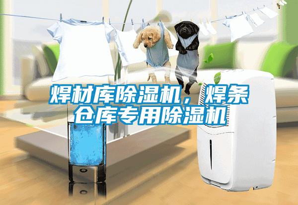 焊材庫除濕機，焊條倉庫專用除濕機