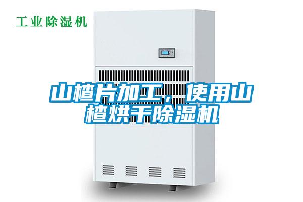 山楂片加工，使用山楂烘干除濕機(jī)