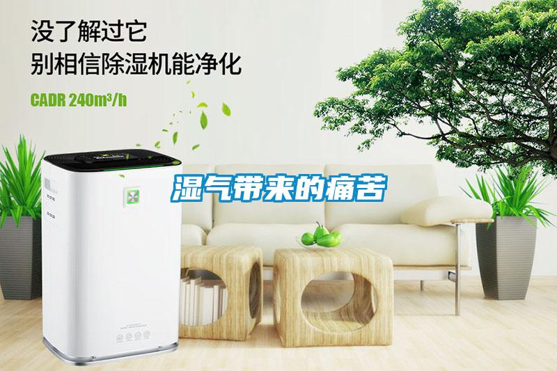 濕氣帶來(lái)的痛苦