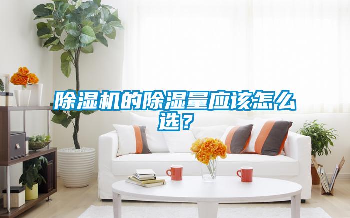 除濕機的除濕量應該怎么選？