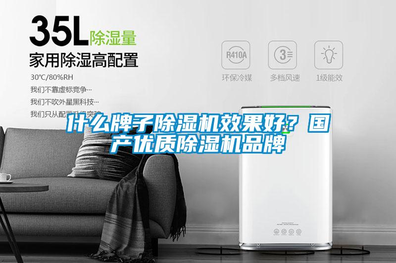 什么牌子除濕機(jī)效果好？國產(chǎn)優(yōu)質(zhì)除濕機(jī)品牌