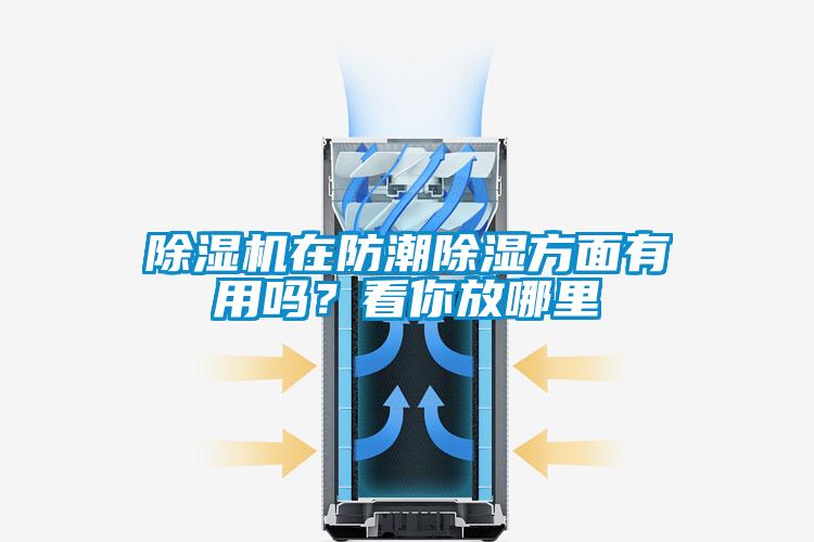 除濕機在防潮除濕方面有用嗎？看你放哪里
