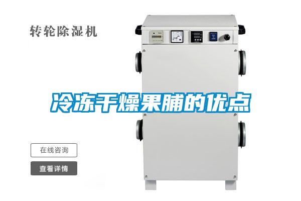 冷凍干燥果脯的優點