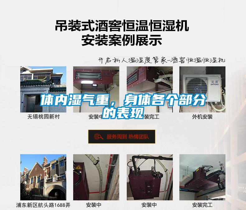 體內(nèi)濕氣重，身體各個(gè)部分的表現(xiàn)