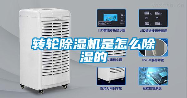 轉(zhuǎn)輪除濕機是怎么除濕的
