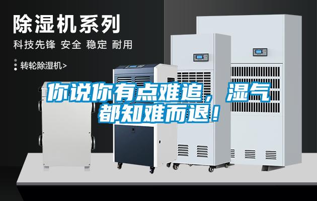 你說你有點難追，濕氣都知難而退！