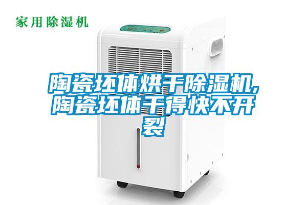陶瓷坯體烘干除濕機(jī),陶瓷坯體干得快不開(kāi)裂