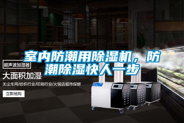 室內(nèi)防潮用除濕機(jī)，防潮除濕快人一步