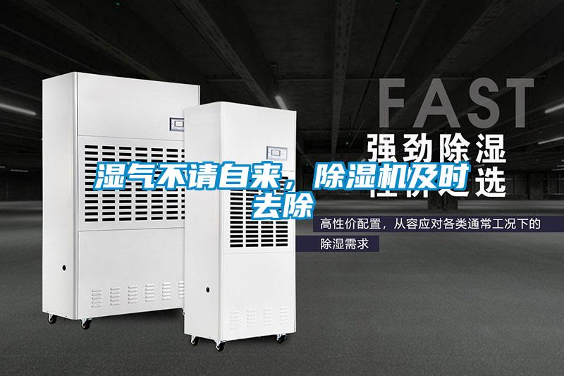 濕氣不請(qǐng)自來，除濕機(jī)及時(shí)去除