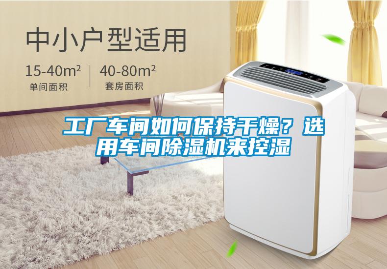 工廠車間如何保持干燥？選用車間除濕機(jī)來(lái)控濕