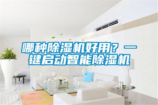 哪種除濕機好用？一鍵啟動智能除濕機