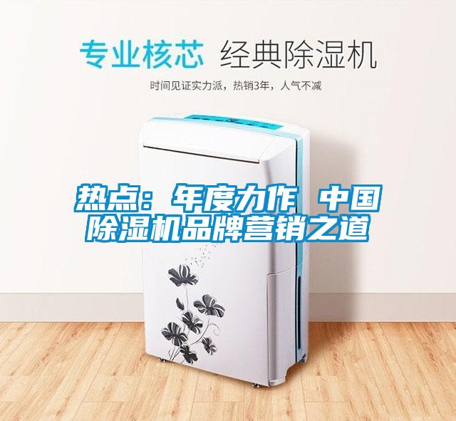 熱點：年度力作 中國除濕機品牌營銷之道