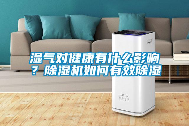 濕氣對健康有什么影響？除濕機(jī)如何有效除濕