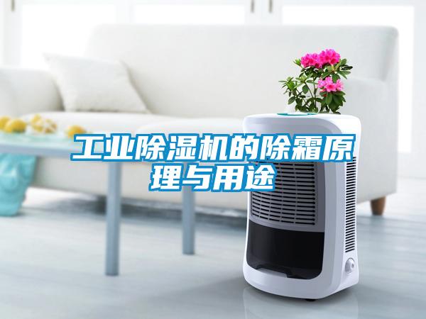 工業(yè)除濕機(jī)的除霜原理與用途