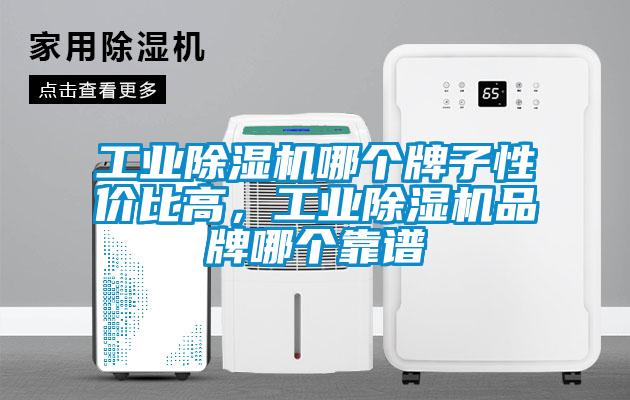 工業(yè)除濕機(jī)哪個牌子性價比高，工業(yè)除濕機(jī)品牌哪個靠譜