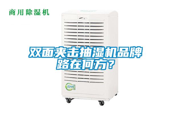 雙面夾擊抽濕機品牌路在何方？