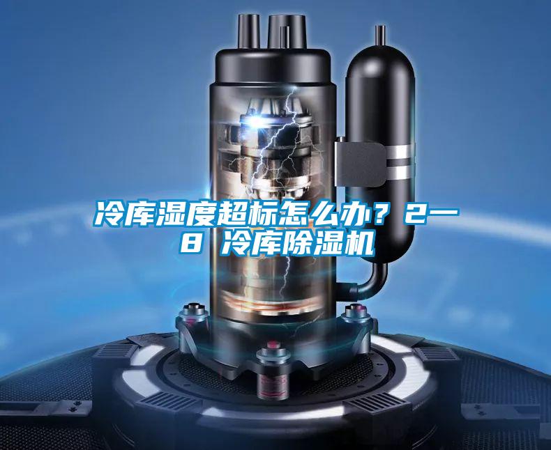 冷庫(kù)濕度超標(biāo)怎么辦？2一8℃冷庫(kù)除濕機(jī)
