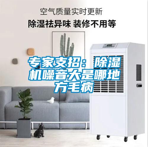 專(zhuān)家支招：除濕機(jī)噪音大是哪地方毛病