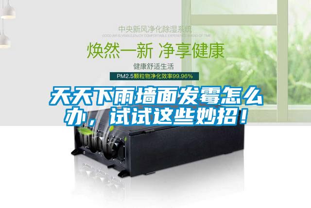 天天下雨墻面發(fā)霉怎么辦，試試這些妙招！