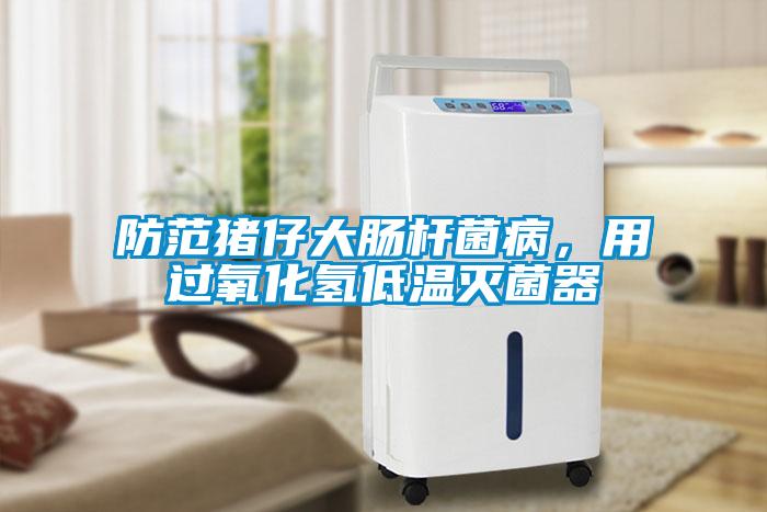 防范豬仔大腸桿菌病，用過氧化氫低溫滅菌器