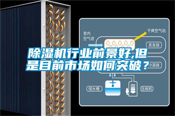 除濕機(jī)行業(yè)前景好,但是目前市場(chǎng)如何突破？
