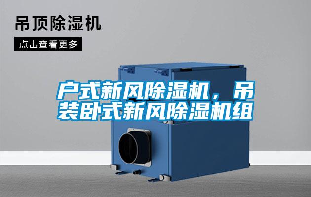 戶式新風除濕機，吊裝臥式新風除濕機組