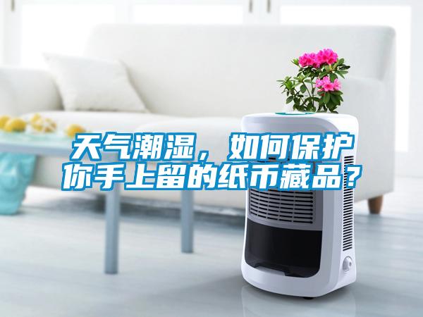 天氣潮濕，如何保護(hù)你手上留的紙幣藏品？