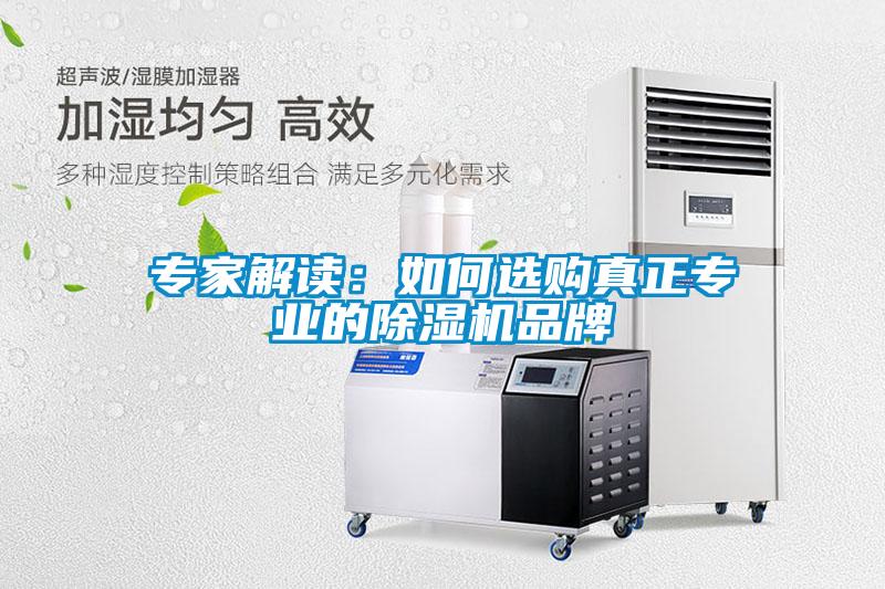 專家解讀：如何選購真正專業(yè)的除濕機品牌