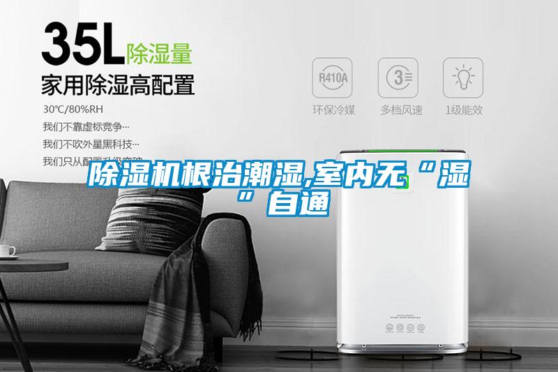 除濕機(jī)根治潮濕,室內(nèi)無(wú)“濕”自通