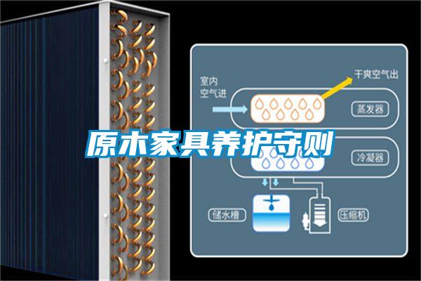 原木家具養護守則