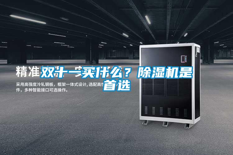 雙十一買什么？除濕機(jī)是首選
