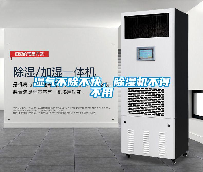 濕氣不除不快，除濕機不得不用